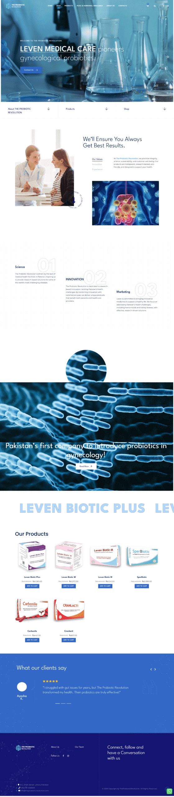 Portfolio screenshot 1